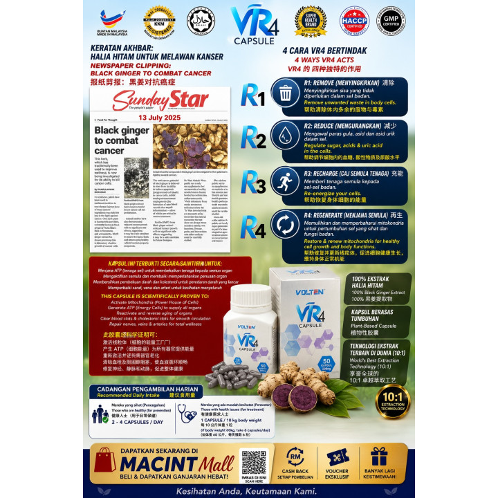 VR4 Black Ginger Extract Capsules | Natural Health Supplement Malaysia