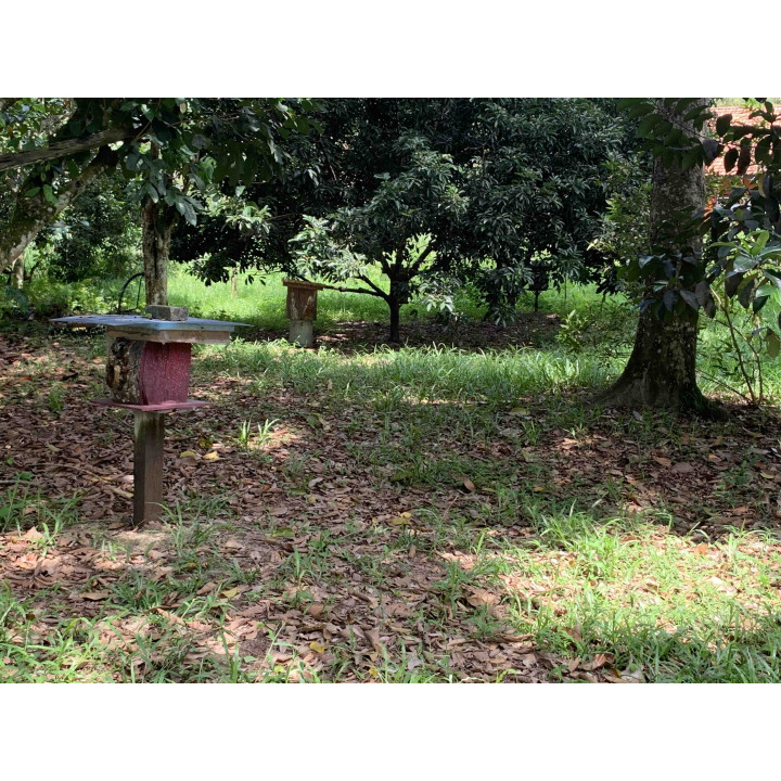 Pure Trigona Itama stingless Bee Honey Species 300 gram