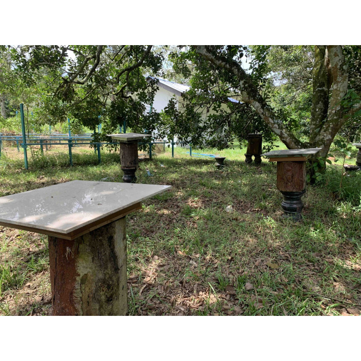 Pure Trigona Itama stingless Bee Honey Species 300 gram